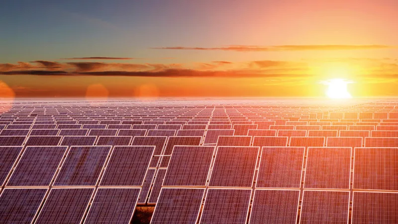 Solar Panels & Renewable Energy